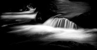 48.Tranquility_Great Smoky Mountains_20191107_1822